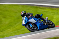 PJ-Motorsport-2019;anglesey;brands-hatch;cadwell-park;croft;donington-park;enduro-digital-images;event-digital-images;eventdigitalimages;mallory;no-limits;oulton-park;peter-wileman-photography;racing-digital-images;silverstone;snetterton;trackday-digital-images;trackday-photos;vmcc-banbury-run;welsh-2-day-enduro